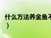 什么方法養(yǎng)金魚不會(huì)死(如何養(yǎng)金魚才不會(huì)死) 什么方法養(yǎng)金魚不會(huì)死(如何養(yǎng)金魚才不會(huì)死)