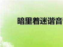 暗里著迷諧音歌詞（暗里著迷諧音）