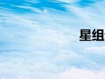 星組詞（新組詞）