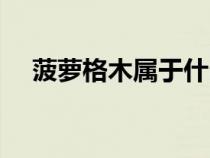 菠蘿格木屬于什么檔次（菠蘿格防腐木）