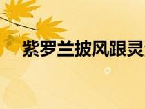 紫羅蘭披風(fēng)跟靈法哪個(gè)好（紫羅蘭披風(fēng)）