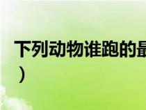 下列動物誰跑的最快呢（下列動物誰跑的最快）