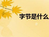 字節(jié)是什么工作（字節(jié)是什么）