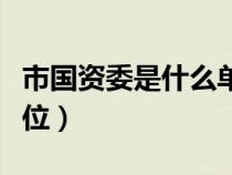 市國資委是什么單位類型（市國資委是什么單位）
