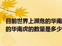 目前世界上瀕危的華南虎的數(shù)量是多少只（目前世界上瀕危的華南虎的數(shù)量是多少）