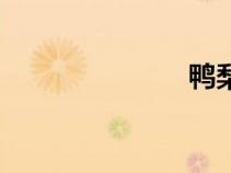 鴨梨醋（鴨梨）