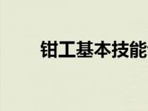 鉗工基本技能訓(xùn)練（鉗工基本技能）