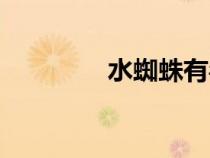 水蜘蛛有毒的嗎（水蜘蛛）