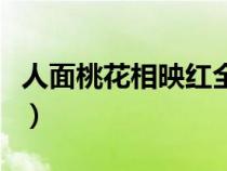 人面桃花相映紅全詩句（人面桃花相映紅全詩）
