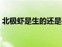 北極蝦是生的還是熟的（北極蝦怎么做好吃）