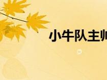 小牛隊(duì)主帥（小牛隊(duì)主教練）