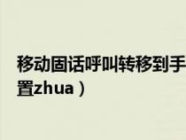 移動固話呼叫轉(zhuǎn)移到手機怎么設(shè)置(固話轉(zhuǎn)移到手機怎么設(shè)置zhua) 移動固話呼叫轉(zhuǎn)移到手機怎么設(shè)置(固話轉(zhuǎn)移到手機怎么設(shè)置zhua)