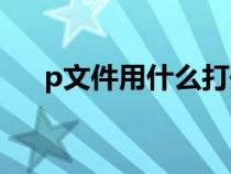 p文件用什么打開（p7s文件如何打開）