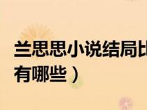 蘭思思小說結(jié)局比較好的小說（蘭思思的小說有哪些）