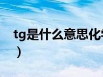 tg是什么意思化學檢測指標（TG是什么意思）
