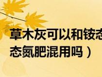 草木灰可以和銨態(tài)氮肥使用嗎（草木灰能和銨態(tài)氮肥混用嗎）