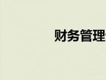 財(cái)務(wù)管理課程(管理課程) 財(cái)務(wù)管理課程(管理課程)