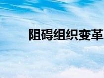 阻礙組織變革的因素有哪些（阻礙）
