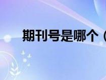 期刊號(hào)是哪個(gè)（期刊號(hào)是cn還是issn）