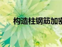 構(gòu)造柱鋼筋加密區(qū)規(guī)范要求（構(gòu)造柱）
