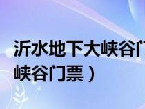 沂水地下大峽谷門票多少錢一張（沂水地下大峽谷門票）
