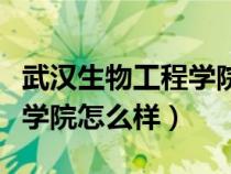 武漢生物工程學(xué)院怎么樣知乎（武漢生物工程學(xué)院怎么樣）