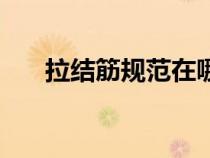 拉結(jié)筋規(guī)范在哪個(gè)圖集(拉結(jié)筋規(guī)范) 拉結(jié)筋規(guī)范在哪個(gè)圖集(拉結(jié)筋規(guī)范)