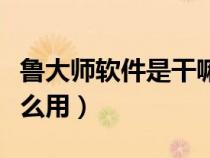 魯大師軟件是干嘛的（魯大師是什么軟件有什么用）