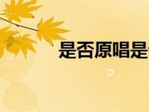 是否原唱是誰唱的（是否原唱）