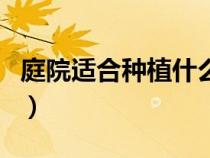 庭院適合種植什么植物（庭院適合種什么植物）