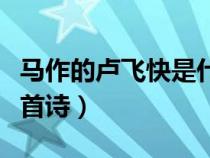 馬作的盧飛快是什么詩（馬作的盧飛快出自哪首詩）