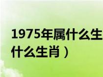 1975年屬什么生肖屬相是什么命（1975年屬什么生肖）