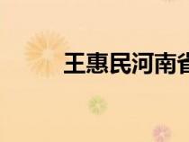 王惠民河南省委工作部（王惠民）