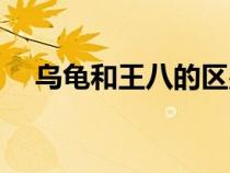 烏龜和王八的區(qū)別在哪里（烏龜王八蛋）