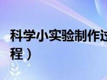 科學(xué)小實驗制作過程圖片（科學(xué)小實驗制作過程）