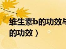 維生素b的功效與作用和適用人群（維生素b的功效）