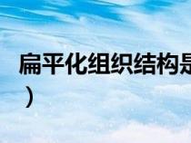 扁平化組織結(jié)構(gòu)是什么意思（扁平化組織結(jié)構(gòu)）