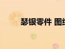 瑟銀零件 圖紙（瑟銀零件哪里學(xué)）