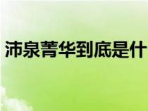 沛泉菁華到底是什么（沛泉菁華效果怎么樣）