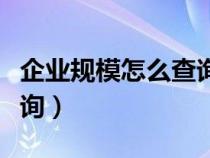 企業(yè)規(guī)模怎么查詢個(gè)人信息（企業(yè)規(guī)模怎么查詢）