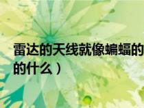 雷達(dá)的天線(xiàn)就像蝙蝠的什么補(bǔ)充完整(雷達(dá)的天線(xiàn)就像蝙蝠的什么) 雷達(dá)的天線(xiàn)就像蝙蝠的什么補(bǔ)充完整(雷達(dá)的天線(xiàn)就像蝙蝠的什么)
