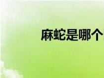 麻蛇是哪個國家的綽號（麻蛇）