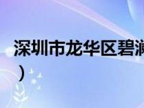 深圳市龍華區(qū)碧瀾外國語小學(xué)（深圳市龍華區(qū)）