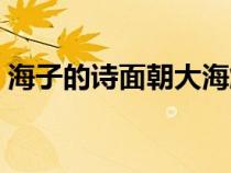 海子的詩面朝大海解讀（海子的詩面朝大海）