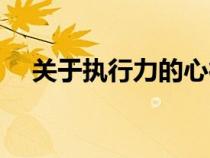 關(guān)于執(zhí)行力的心得體會（執(zhí)行力是什么）