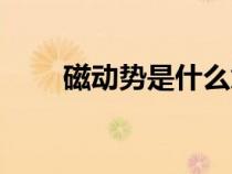 磁動(dòng)勢(shì)是什么意思(磁動(dòng)勢(shì)是什么) 磁動(dòng)勢(shì)是什么意思(磁動(dòng)勢(shì)是什么)