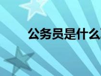 公務(wù)員是什么職業(yè)（公務(wù)員是什么）