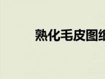 熟化毛皮圖紙在哪學(xué)（熟化毛皮）