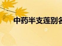 中藥半支蓮別名（半支蓮功效與作用）
