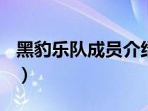 黑豹樂隊(duì)成員介紹(秦勇時期)（黑豹樂隊(duì)成員）